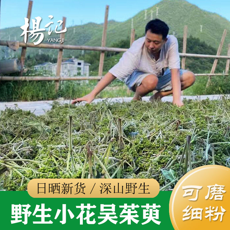纯野生浙江小花吴茱萸籽 野生吴茱萸100g 中药材吴萸 吴茱萸粉