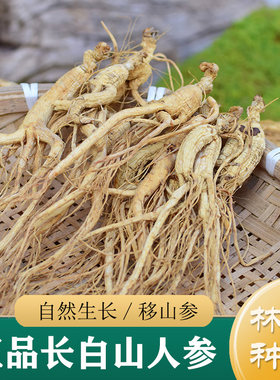 正品东北长白山人参 12/15年移山参50g 中药材人参干林下参干货