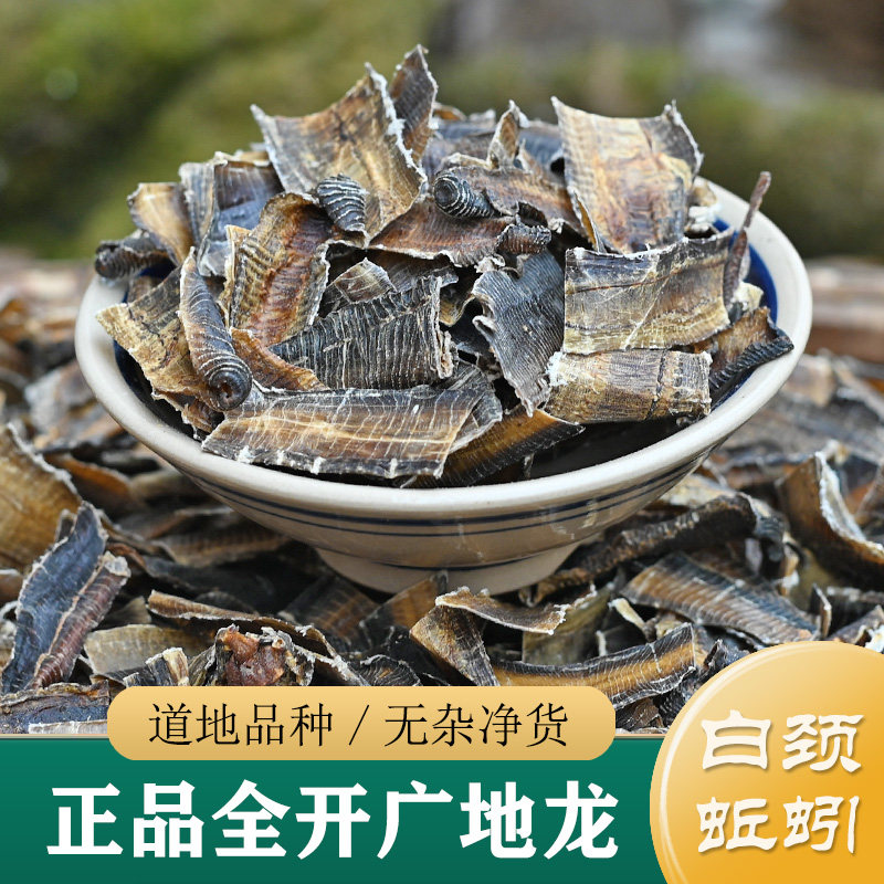 地龙中药材正品 精选广西地龙100g 全开地龙 地龙粉/白颈蚯蚓干