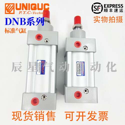 优力克UNIQUC标准气缸DNB32/40/50/63/80/100M/N25/50/75/100/150
