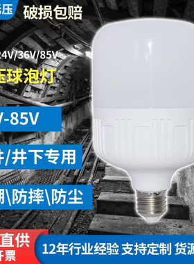 led低压灯泡12V24V36V60V电瓶车灯e27螺口夜市地摊灯工地低压灯