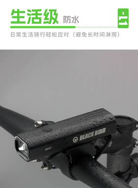 黑鸟Blackbird公路山地自行车德规车前灯夜骑充电亮远射手电筒