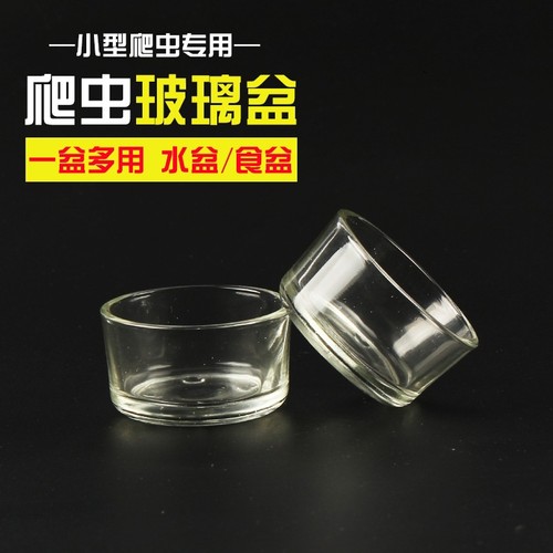 玻璃水盆食盆玻璃杯水盆食盆蜘蛛蜈蚣蝎子宠物爬宠爬虫水盆食盆