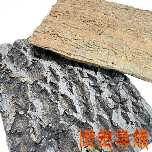 香槟树皮躲避树栖蜘蛛宠物蝎子造景躲避树皮躲避造景