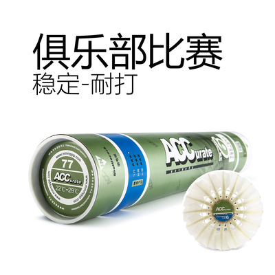 ACC羽毛球6号稳定俱乐部训练