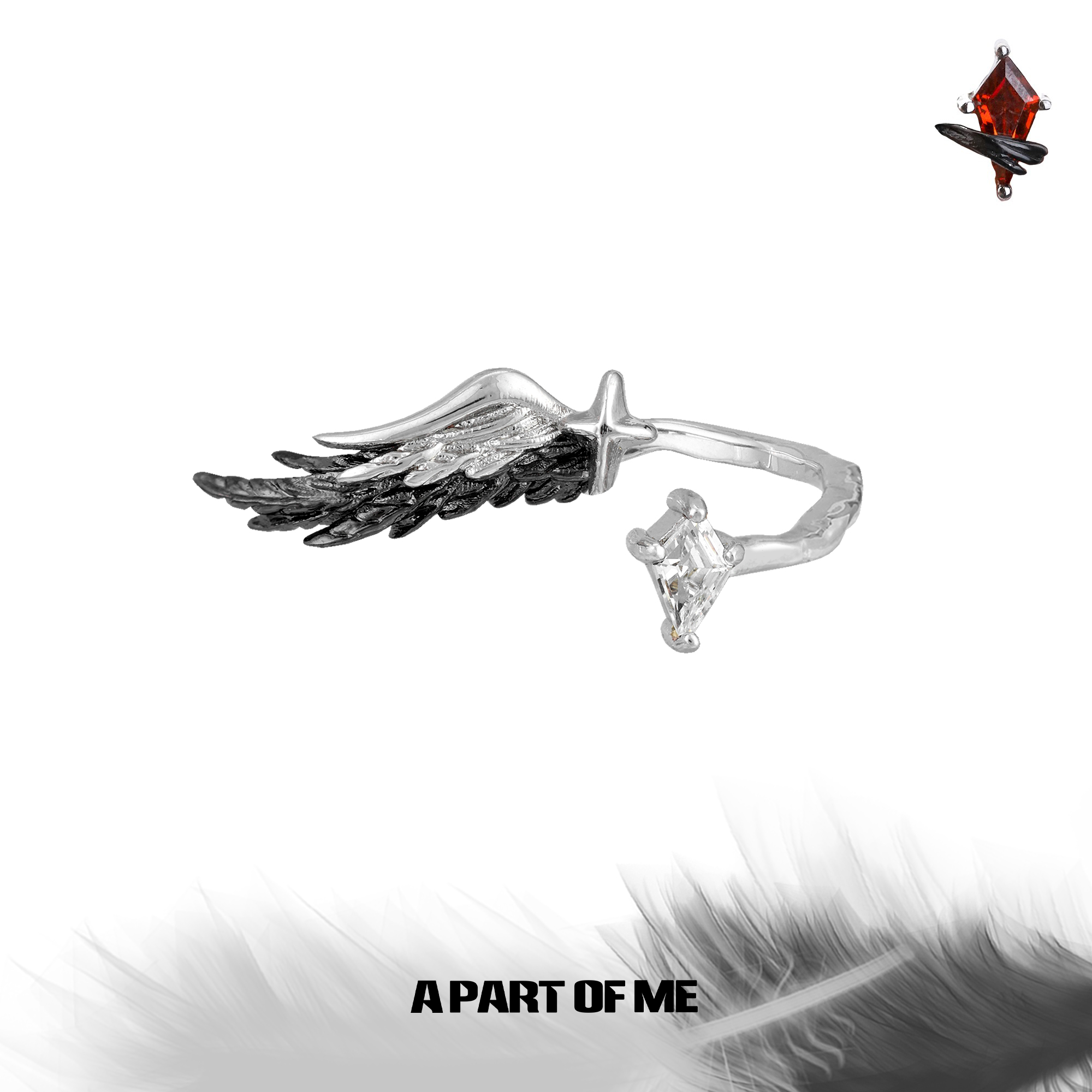 白鸽乌鸦相爱的戏码 原创925纯银羽毛戒指