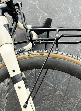 前叉货架Diverge/SirrusX6/X5/X4/3/2瓜车Gravel平把公路车宠物篮