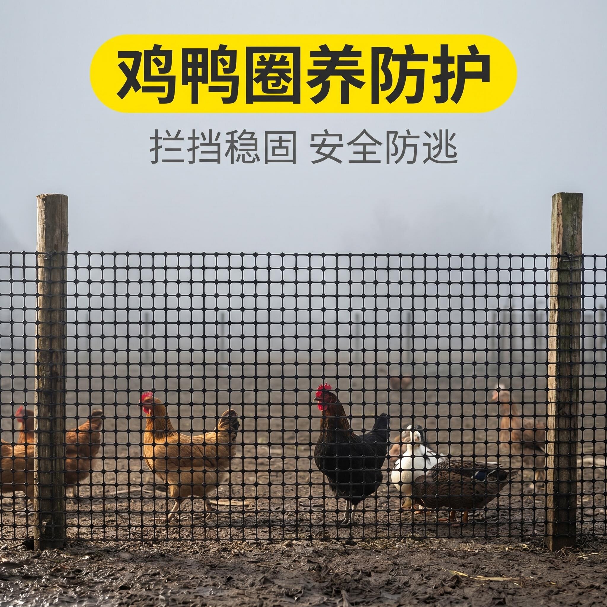 塑料网加厚特厚养鸡围栏网防护网护栏网隔离网超厚养鸡鸭网格子网