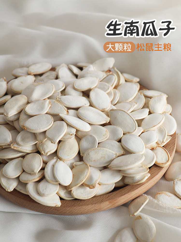 松鼠仓鼠花枝鼠吃的主粮食零食物大颗粒营养生南瓜子瓜子籽100g