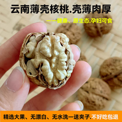 云南25年薄皮核桃壳薄仁厚无硫纸皮老人孕妇零食新货薄壳核桃坚果