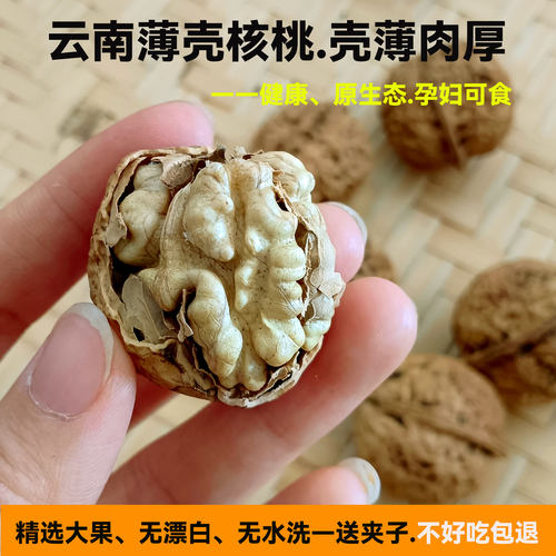 25年云南楚雄原味薄壳核桃