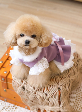 JLSC原创灰紫色宠物羊毛呢外套冬猫狗保暖大衣泰迪比熊约克夏冬装