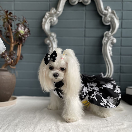 婚纱名媛小香风黑色黑色