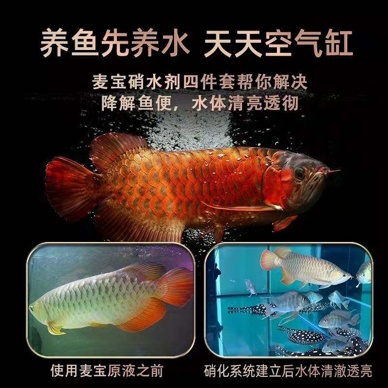 麦宝观赏鱼酸奶鱼缸用酸奶水质稳定剂水族用品鱼益生液水质稳定剂