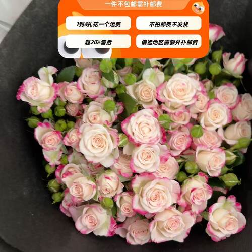 A级多头玫瑰10支 折射 需要拍邮费