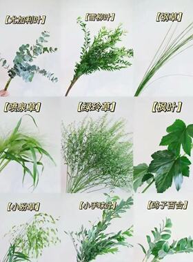 全品类[草花花材] 【不包邮需要拍邮费，云南昆明鲜花基地直发