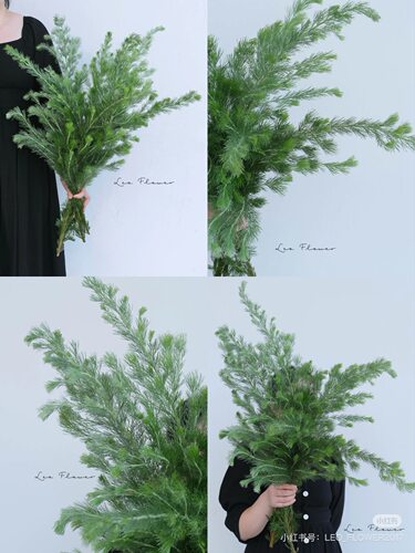 羊毛松一扎 需要拍邮费