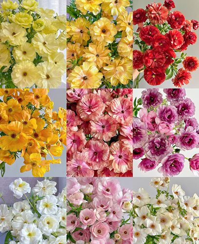 【蝴蝶洋牡丹   所以颜色链接】可以选色，【不包邮需要拍邮费