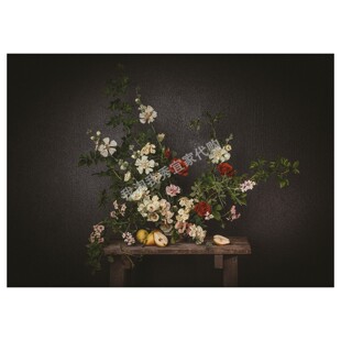 宜家国内代购 皮亚特 图片 鲜花-靠着一面黑色墙壁摆放着 70x50cm