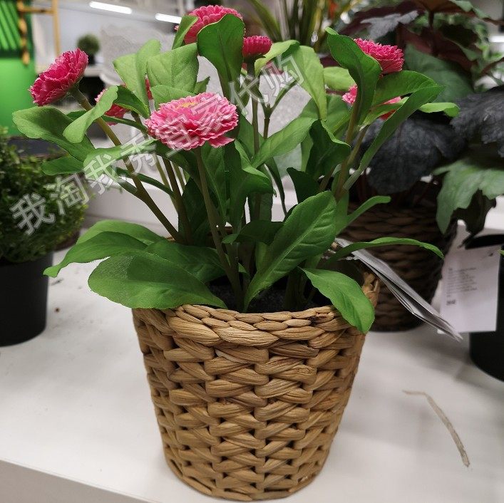 宜家国内代购  弗里 装饰用花盆水葫芦 仿真饰品花器手工编织花盆 - 实物图