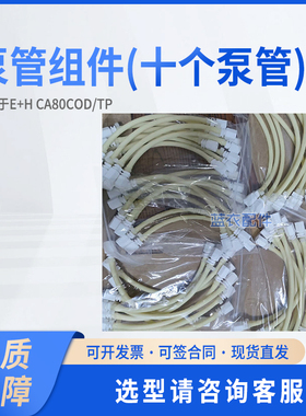 E+H恩德斯豪斯泵管组件 (10个泵管) 71324163 适配E+H CA80COD/TP