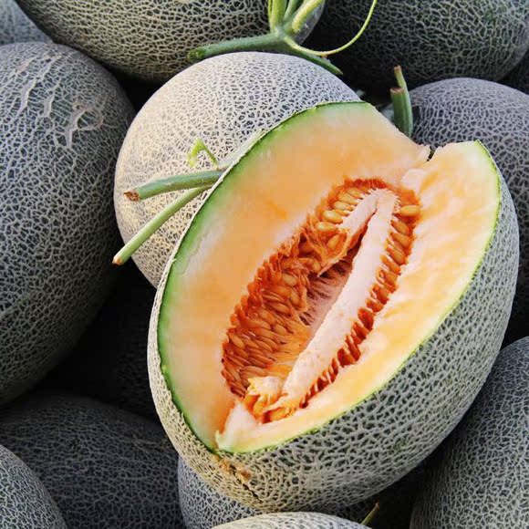 Î÷±±ÌزúÎ÷ÖÝÃÛ ¸ÊÌð¿É¿Ú ´àÌðˬ¿Ú Ö¶àË®¹û°üÓʹþÃÜ¹Ï 10kg
