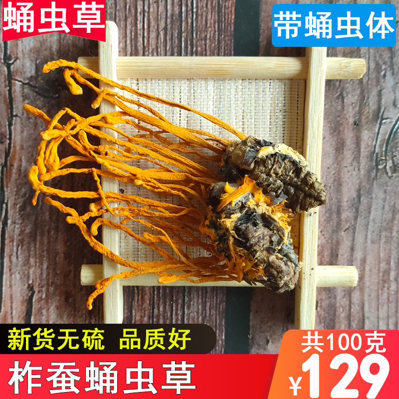 蛹虫草干货100克柞蚕蛹虫体金虫草花北冬虫夏草煲汤泡酒