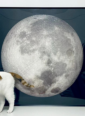 月球拼图框1000片67.3月亮地球圆形拼图实木专用画框框裱框相框