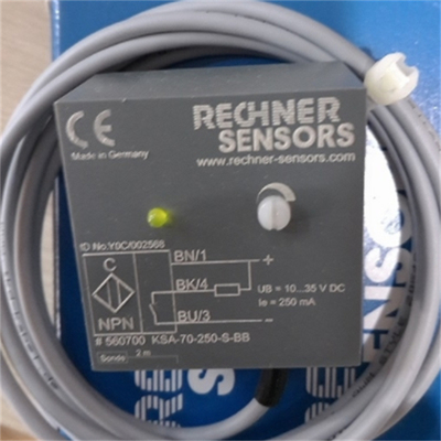 RECHNER SENSORS传感器 安全隔离栅