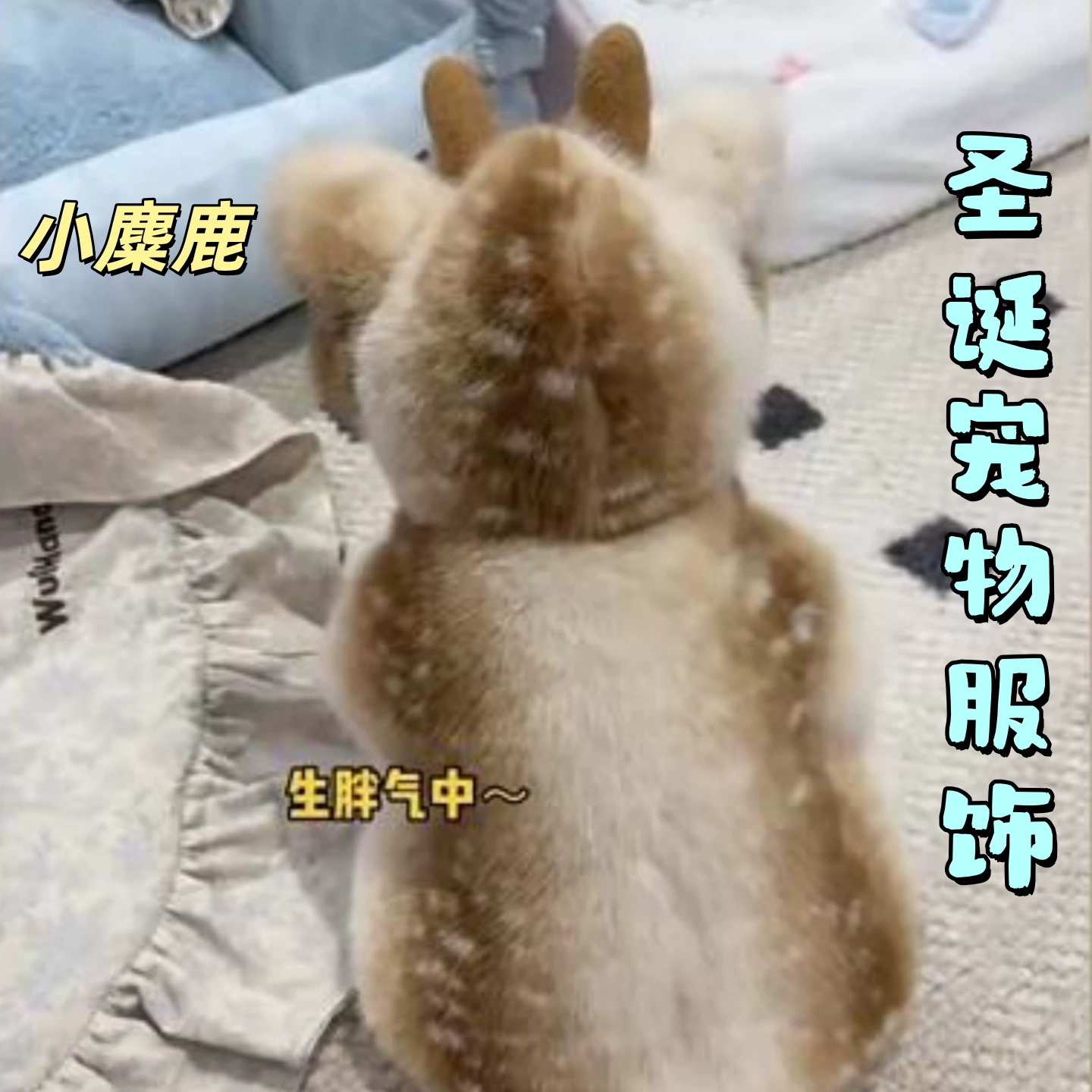 圣诞宠物服饰麋鹿斗篷披风冬季保暖狗狗猫咪衣服变身装拍照用品,宠物/宠物食品及用品,狗宠物服装/雨衣,淘宝优惠券,粉丝福利购,淘宝优惠卷