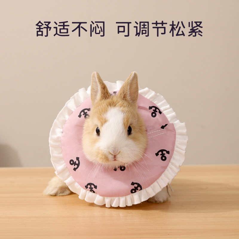 伊丽莎白圈兔子蜜袋鼯防舔防护圈荷兰猪仓鼠小宠头套项圈宠物用品