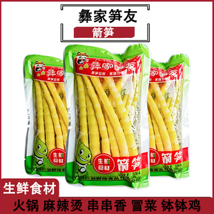 彝家笋友箭笋500g盐水竹笋家用四川巴蜀生鲜食材火锅炒菜凉菜多用