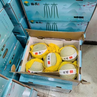 正宗海南林氏梅陇蜜瓜 网纹瓜 甜软糯 冰激凌蜜瓜5-6粒礼盒装