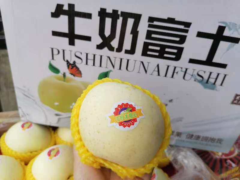 正宗阿克苏牛奶富士苹果黄金奶油