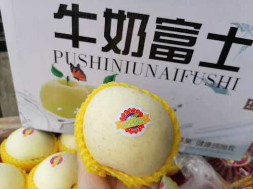 正宗阿克苏牛奶富士苹果黄金奶油