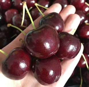包邮 32mm顺风 现货智利进口车厘子大樱桃新鲜JJJ车厘子3J