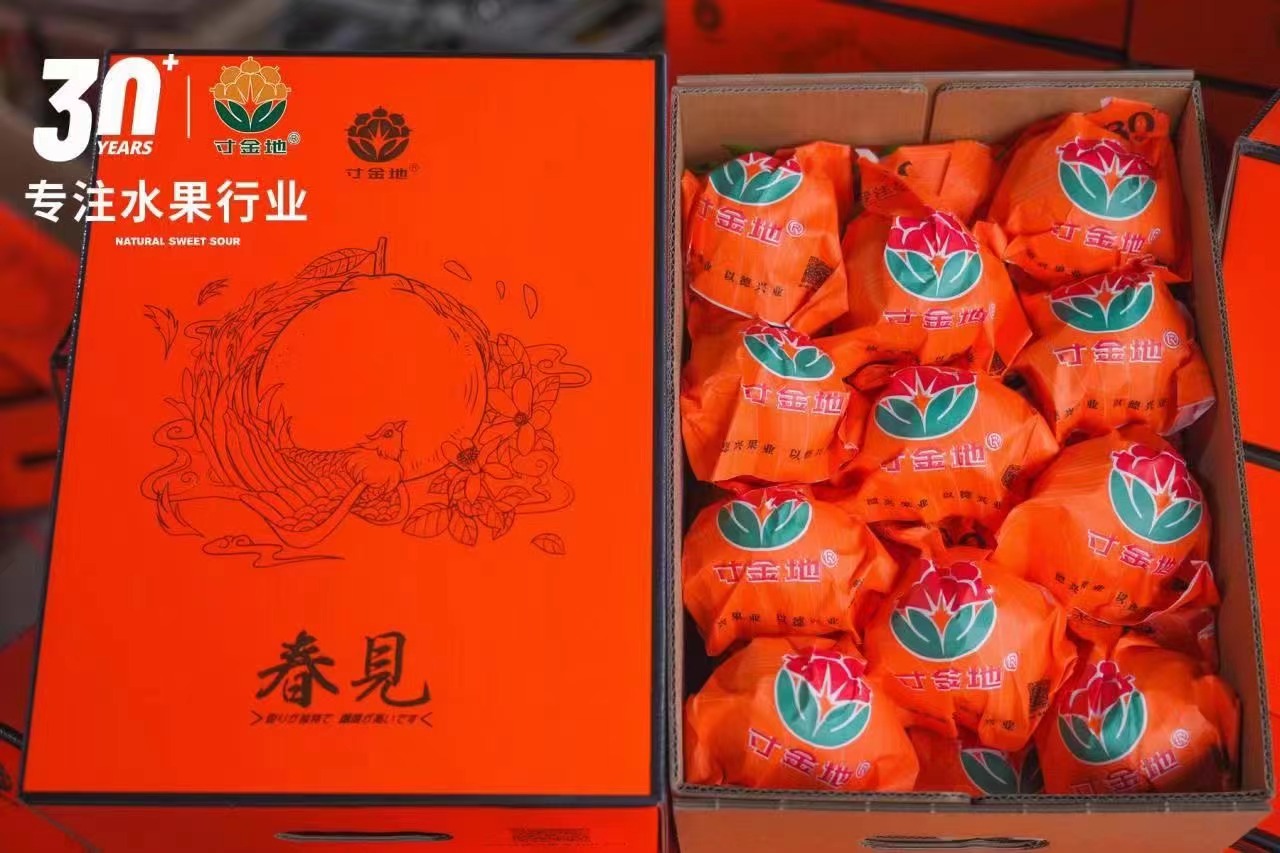 唐氏丑橘唐氏农场纯甜丑橘寸金地 包邮