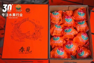 唐氏丑橘唐氏农场纯甜丑橘寸金地 包邮