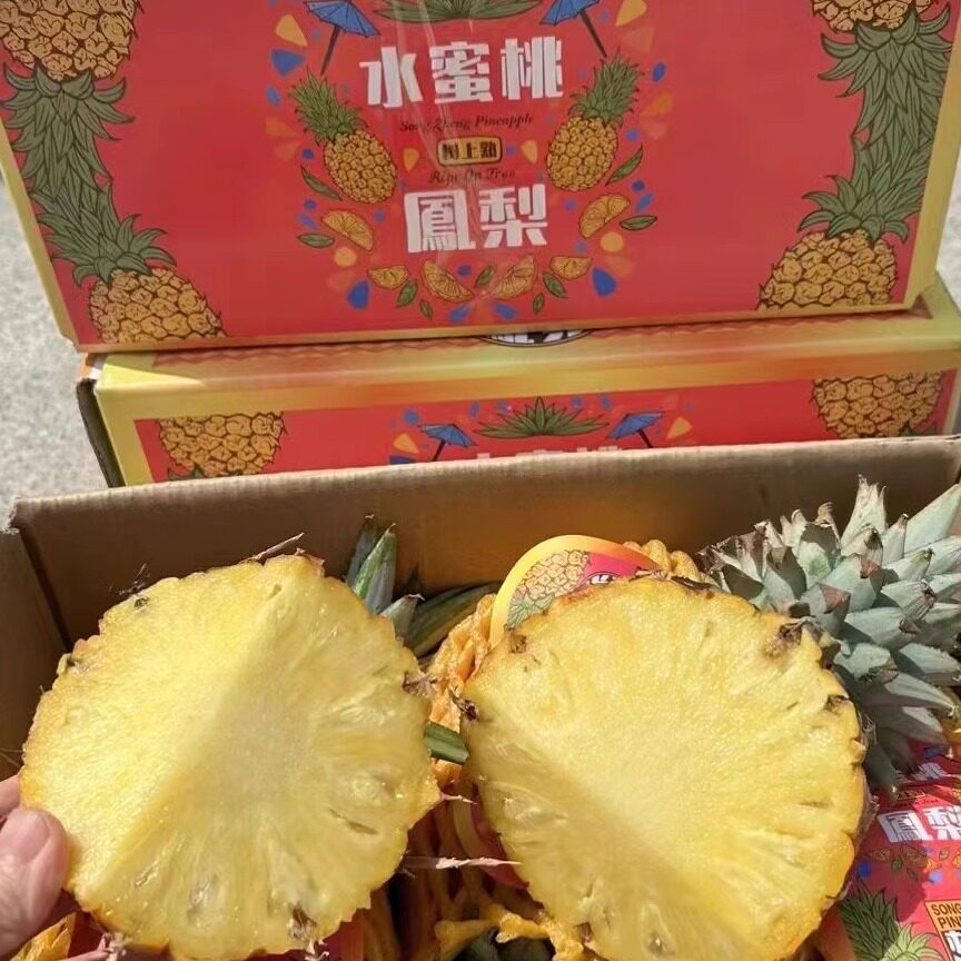 正宗水蜜桃凤梨海南金钻凤梨新鲜凤梨