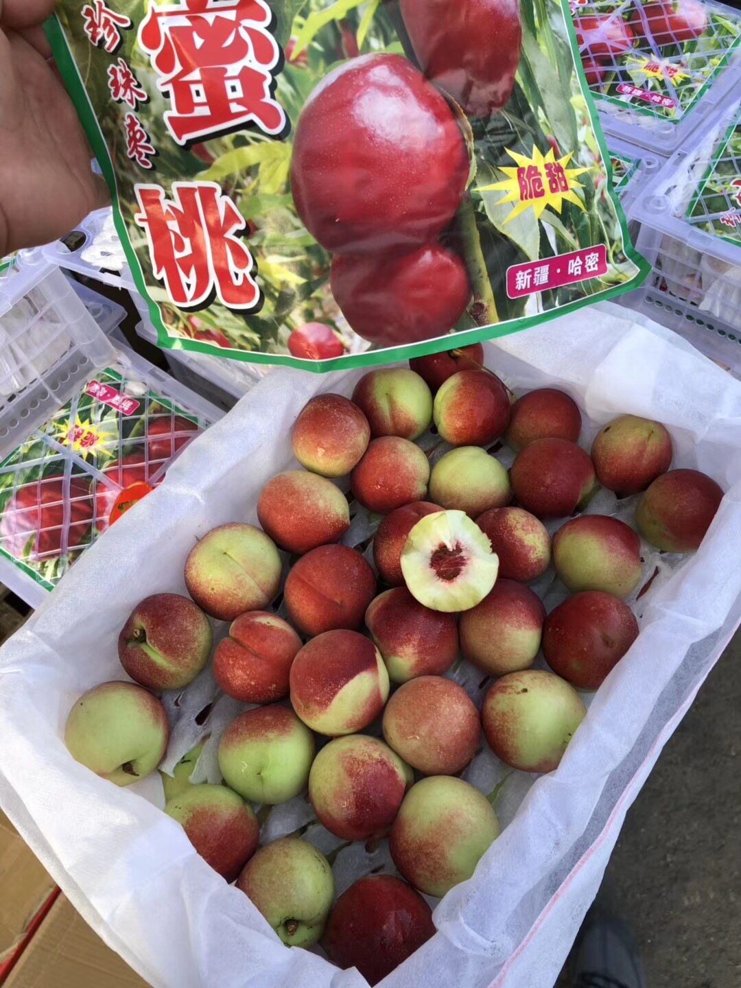 特级正宗新疆枣蜜桃甜脆珍珠桃枣荔枝