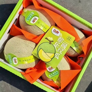dole 都乐玫珑网纹瓜当季水果蜜瓜香甜可口季节限定 4粒装礼盒