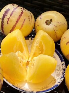 树上熟人参果长寿果黄肉新鲜应季水果5斤精品礼盒装包邮