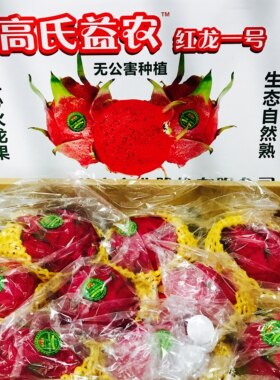 海南高氏益农红心火龙果蜜宝一号