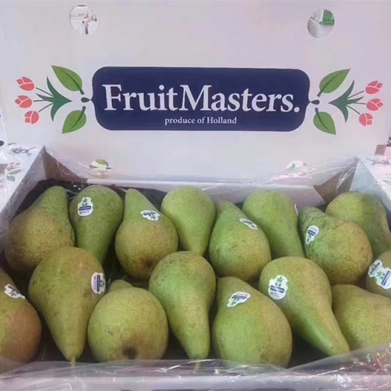 荷兰大风车啤梨无核皮梨青皮梨软糯香甜应季水果16-20个礼盒装