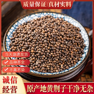 中药材新鲜新款上市中国大陆500克野生黄荆子 中药材 新货无硫熏