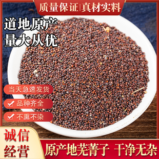 芜菁子中药材新鲜新款500g克精选品质无硫芜青子可磨芜箐籽粉包邮