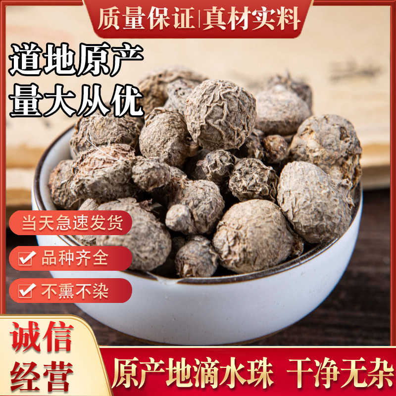 新鲜新款滴水珠中药材一粒珠石半夏一枝花一滴珠独龙珠蛇珠一面锣