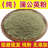 蒲公英粉中药材正品 超细药用蒲公英干新鲜浦公英500g