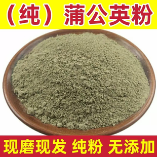 蒲公英粉中药材正品超细药用蒲公英干新鲜浦公英500g