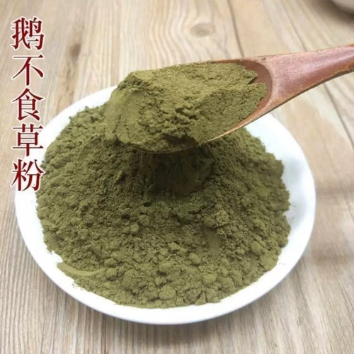鹅不食草粉中药材超细粉正品石胡蒌干治新鲜鼻涕炎粉末500g中草药
